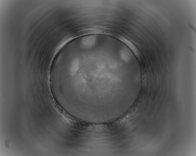 X0000091461051200709131730