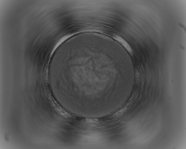X0000091461052200709131730