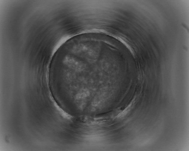 X0000091461054200709131730