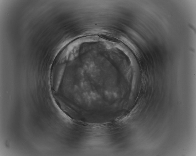 X0000091461055200709131730