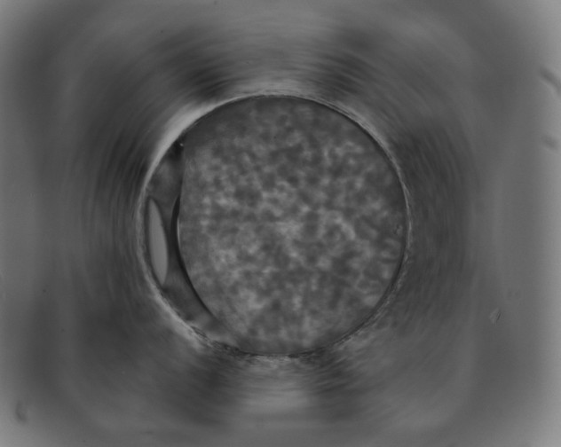 X0000091461056200709131730