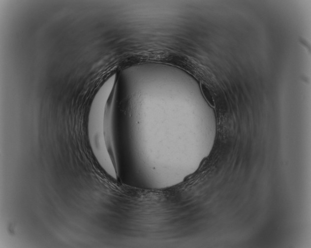 X0000091461058200709131729