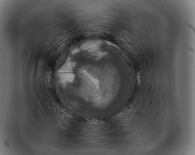 X0000091461059200709131729