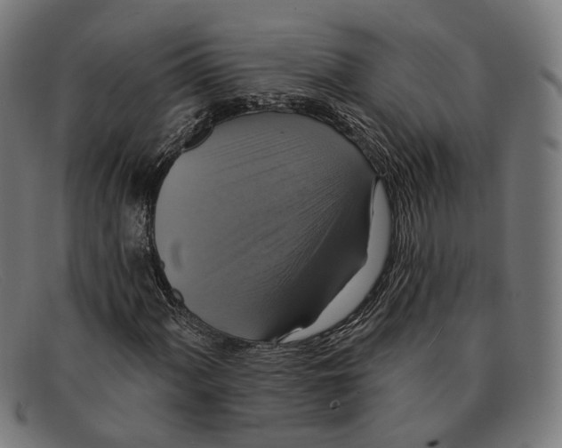 X0000091461060200709131729