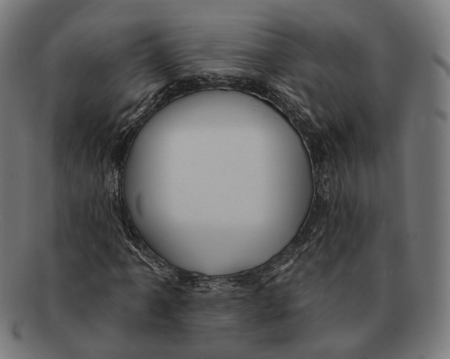 X0000091461061200709131729