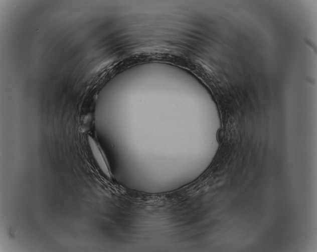 X0000091461062200709131729