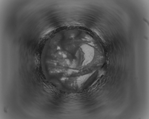X0000091461063200709131729