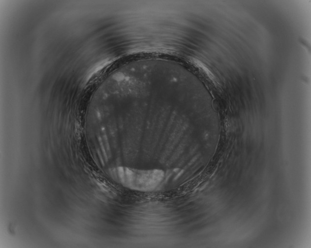 X0000091461064200709131729