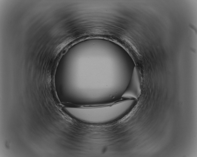 X0000091461065200709131729
