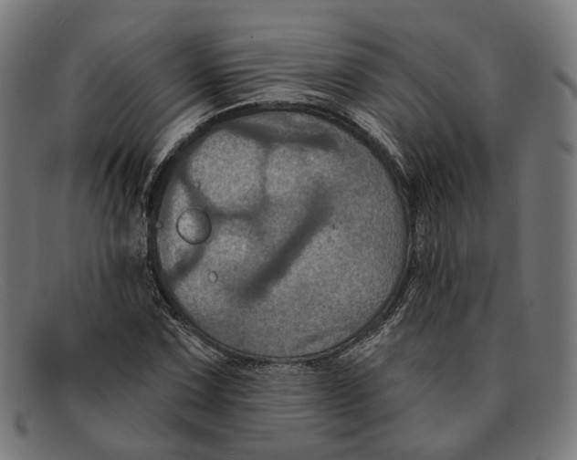 X0000091461067200709131729