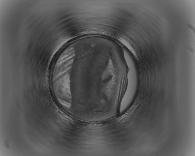 X0000091461068200709131729