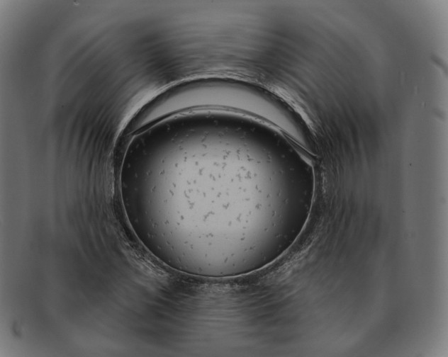 X0000091461069200709131729
