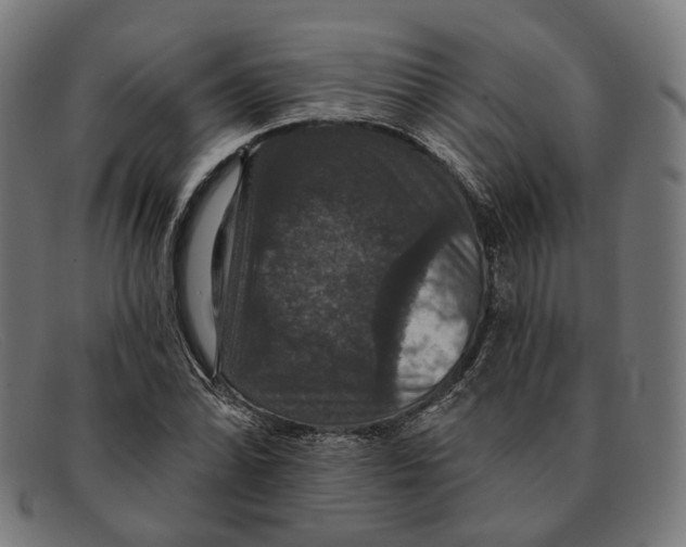 X0000091461070200709131729