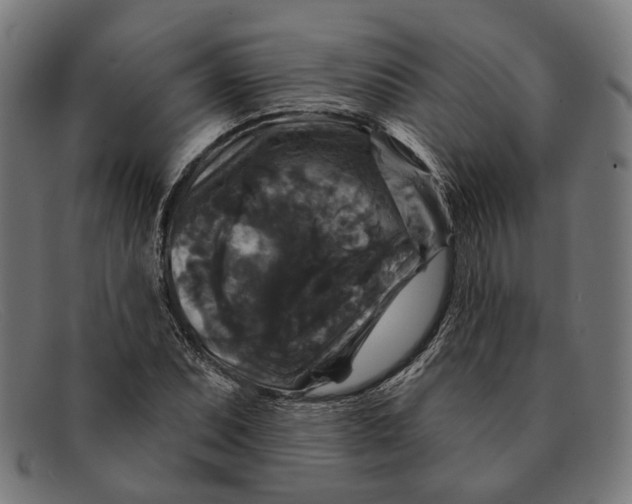X0000091461071200709131729