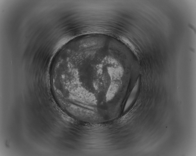 X0000091461072200709131729
