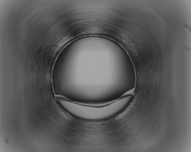 X0000091461073200709131729