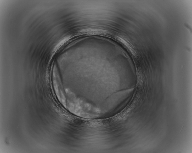 X0000091461074200709131729