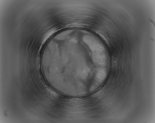 X0000091461075200709131729