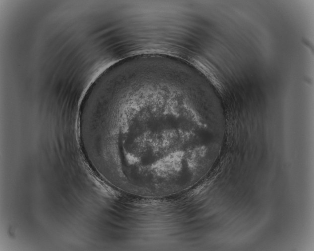X0000091461076200709131729