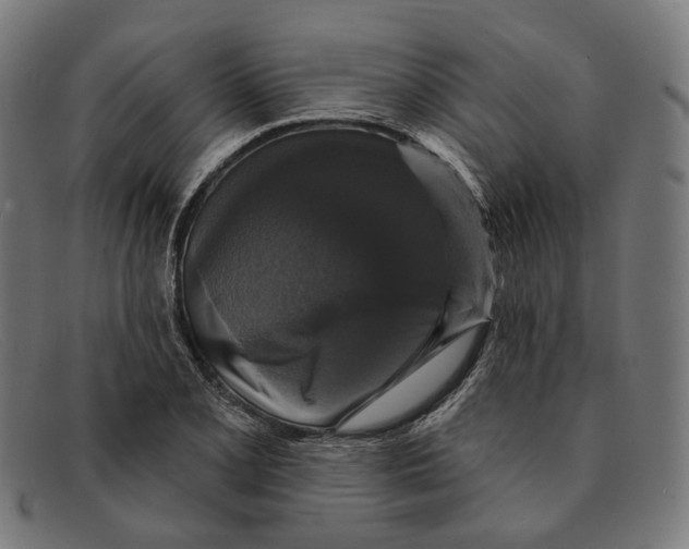 X0000091461077200709131729
