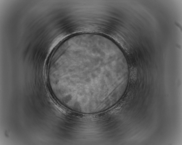 X0000091461078200709131729