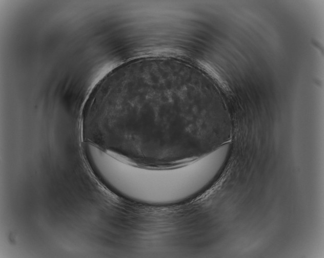 X0000091461079200709131729