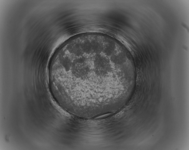 X0000091461080200709131729
