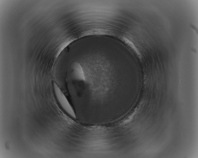 X0000091461081200709131729
