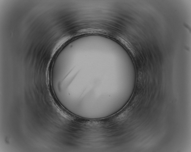 X0000091461082200709131729