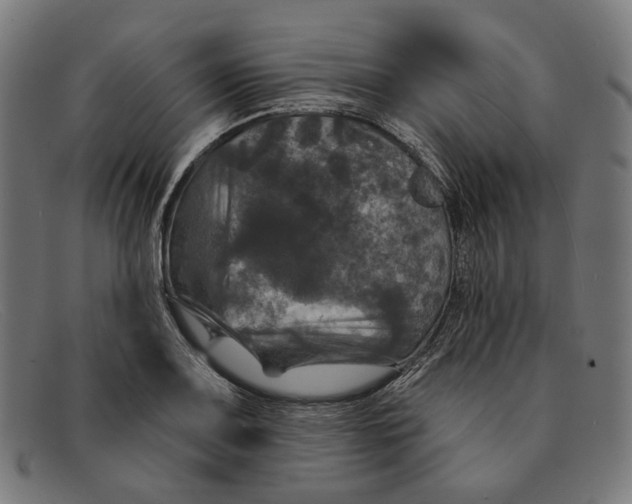 X0000091461083200709131729