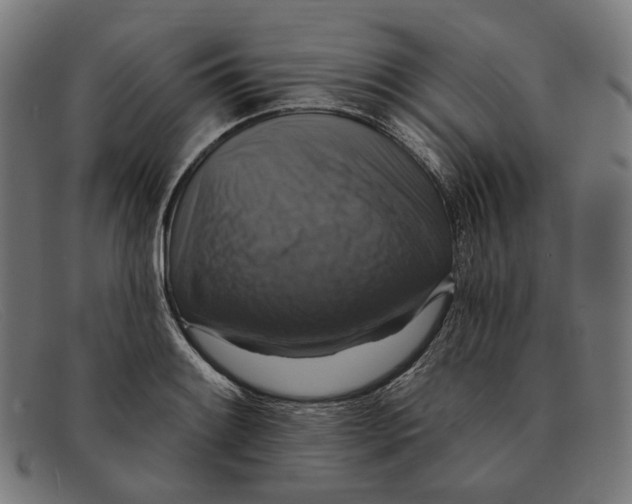 X0000091461084200709131729