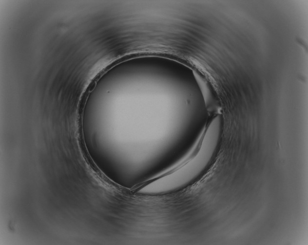 X0000091461085200709131729