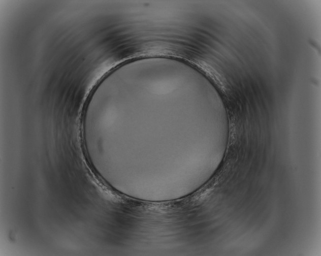 X0000091461086200709131729