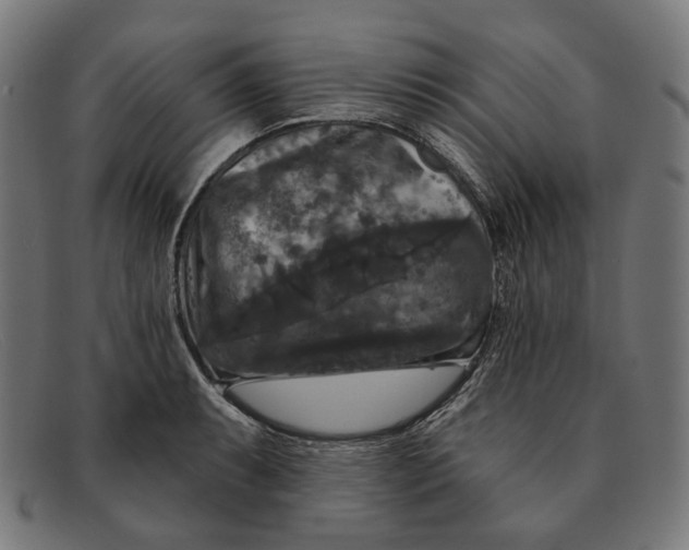 X0000091461087200709131729