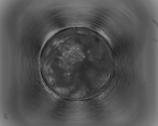 X0000091461088200709131729