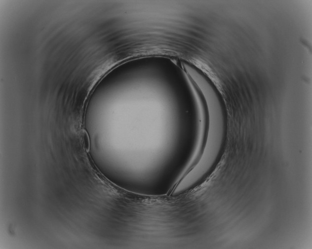 X0000091461089200709131729