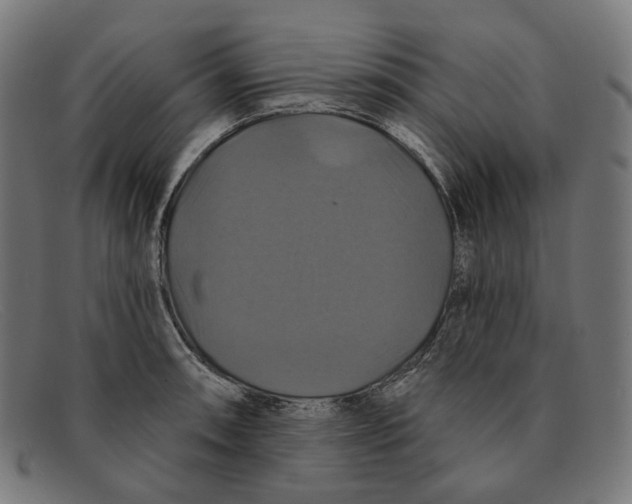 X0000091461090200709131729
