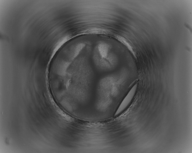 X0000091461091200709131729