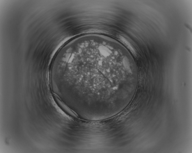 X0000091461092200709131729
