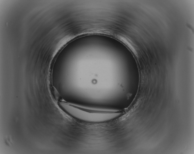 X0000091461093200709131729