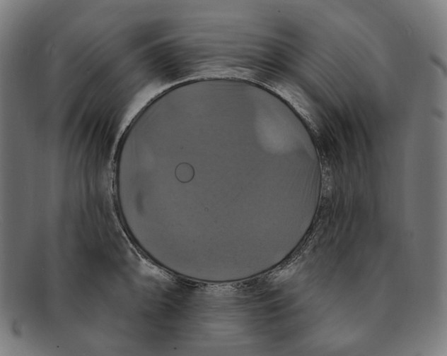 X0000091461094200709131729