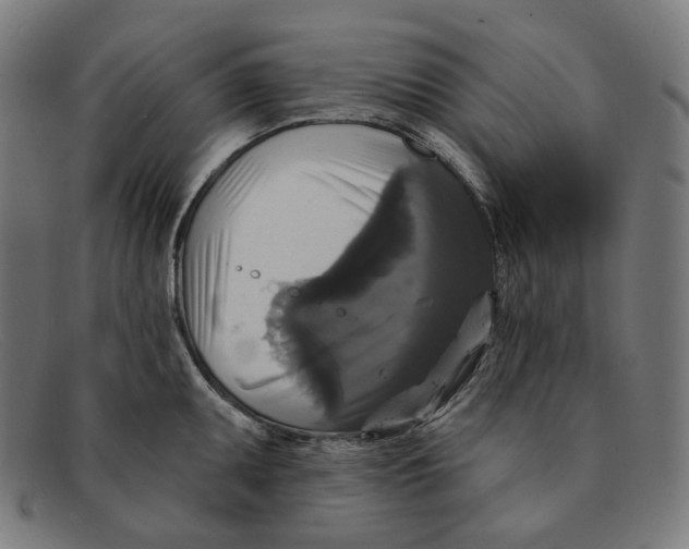 X0000091461095200709131729