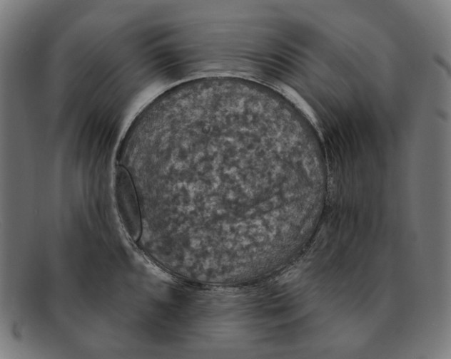 X0000091461096200709131729