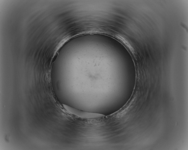 X0000091461097200709131729