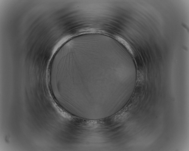 X0000091461098200709131729