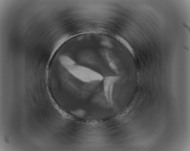X0000091461099200709131729