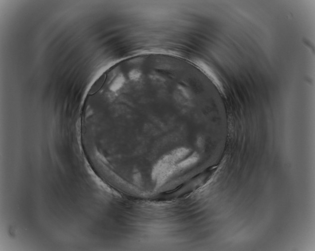 X0000091461100200709131729