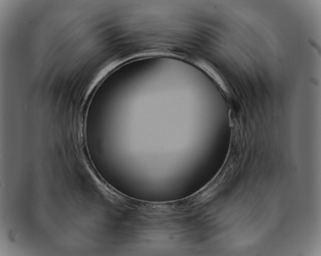 X0000091461101200709131729