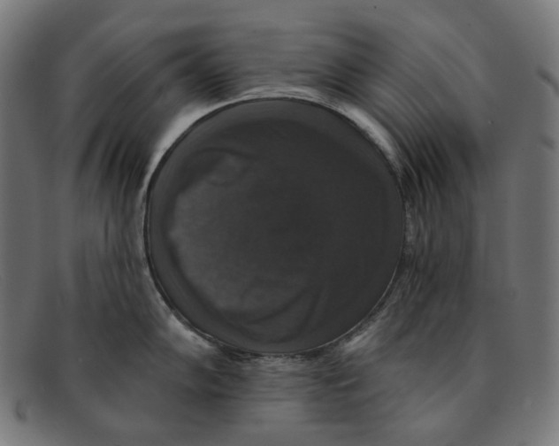 X0000091461102200709131729