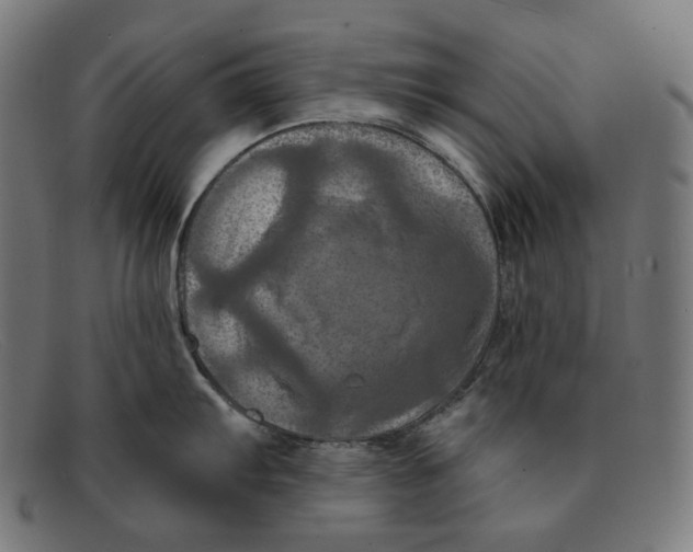 X0000091461103200709131729